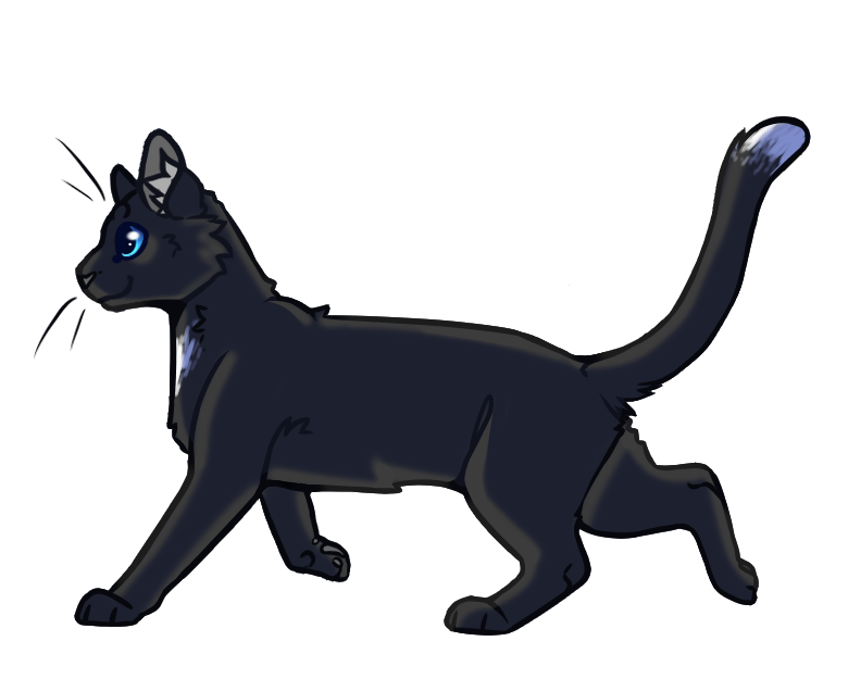 Ravenpaw, Warrior Cats Wiki