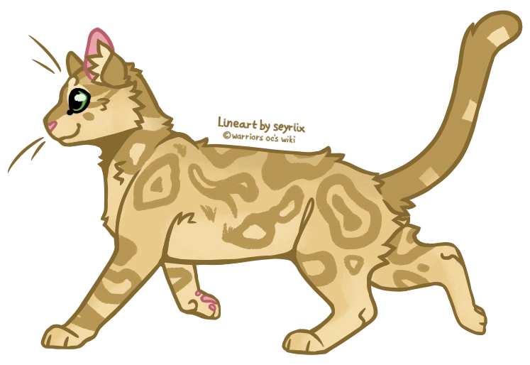 Daffodilpaw Warriors OC's Wiki Fandom