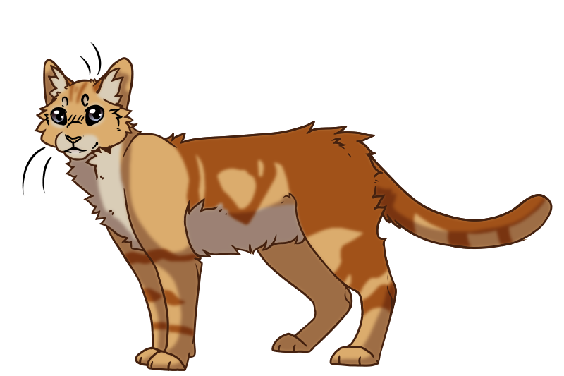 Puma cat wiki online