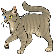 Image by Cat Genetics Simulator