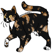 Image by Cat Genetics Simulator