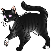 Image by Cat Genetics Simulator