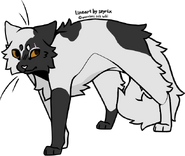 Charart by Rigari