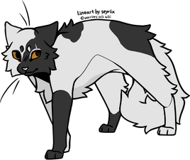 Eaglestar.Darkforest