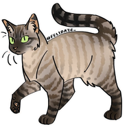 Image by Cat Genetics Simulator