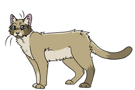 Cicero