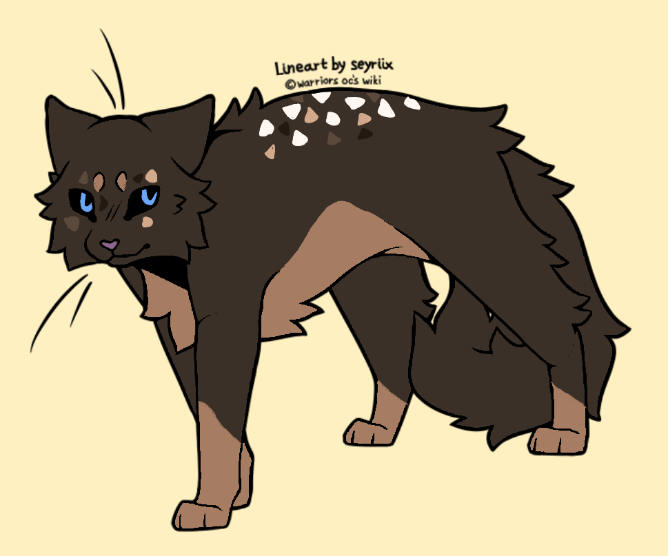 Warrior cats oc