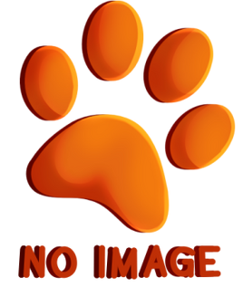 Noimage