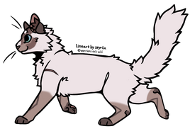 Elkpaw