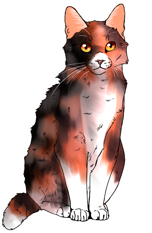 My Warrior Cats Characters! (OC Wiki) - Sunnyeyes - Wattpad