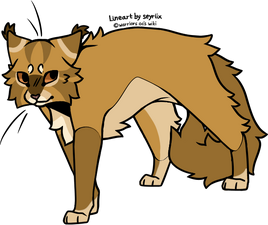 CougarfaceDarkForest