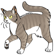 Image by Cat Genetics Simulator