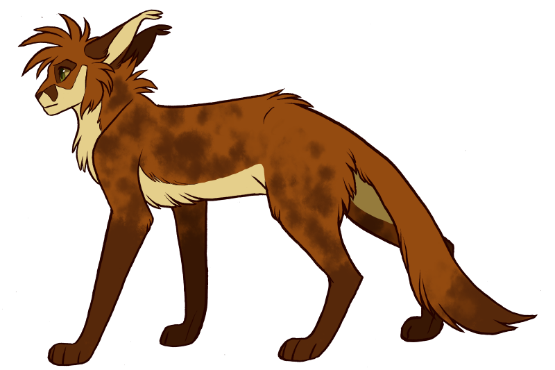 Redtail, Warrior cats Wiki