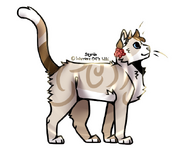 Kit