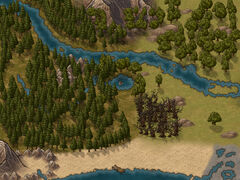 The Woods (ShB) map image