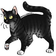 Image by Cat Genetics Simulator