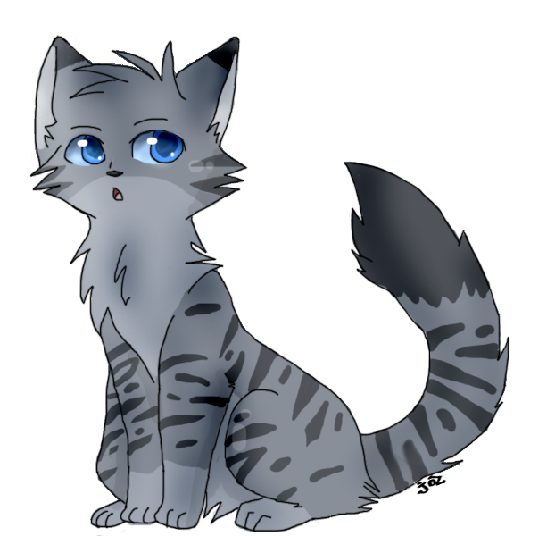 Grey warrior cats on sale