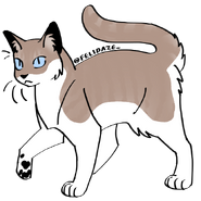 Image by Cat Genetics Simulator
