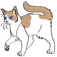 Image by Cat Genetics Simulator