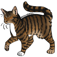 Image by Cat Genetics Simulator