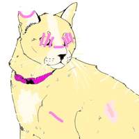 Lion The StoneTeller