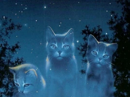 StarClanCats
