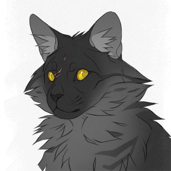 Felidaze s warrior cats creator. Picrew коты Воители. Picrew me коты Воители. Warrior Cats picrew. Felidazes Warrior Cats creator picrew.