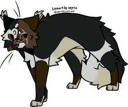 warriors cat stuff — t4wnyclaw: warrior cat wiki says ashfoot is the