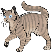 Image by Cat Genetics Simulator