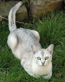 D20D7346-FF1B-47B1-85E0-408E73B369C0