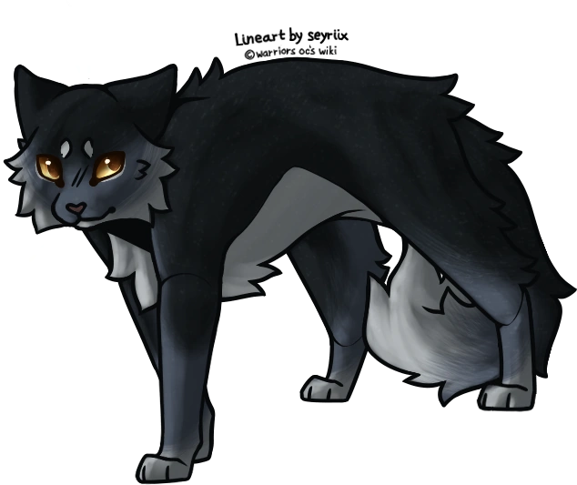 softstar hawthorne