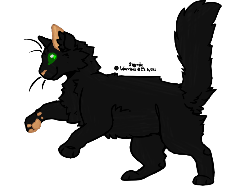 Seedwhisker Tsots Warriors Oc S Wiki Fandom