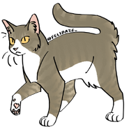 Image by Cat Genetics Simulator