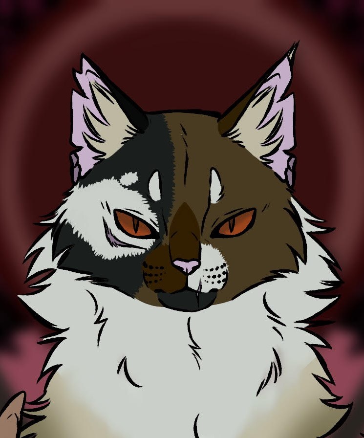 warriors cat stuff — t4wnyclaw: warrior cat wiki says ashfoot is the