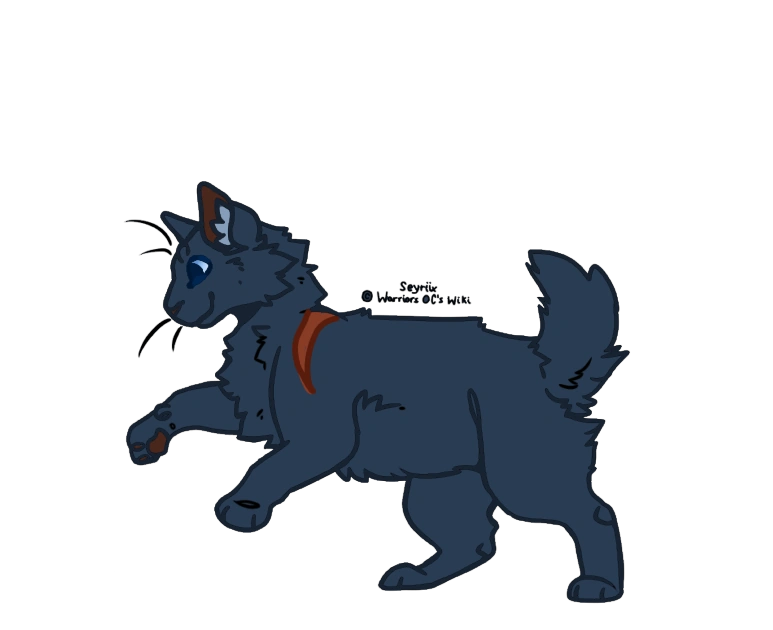 Coldgaze Warriors Oc S Wiki Fandom