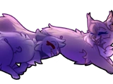 Violetpaw (VaR)