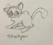 Sharkpaw old.png (545 KB) Sharkpaw's old design