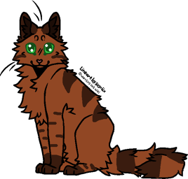 Slashstar-Leader-New2