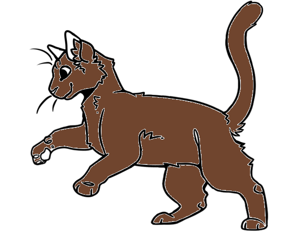 How to Draw Bluestar from Warrior Cats - DrawingNow