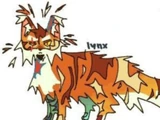 Blazestar (WB)
