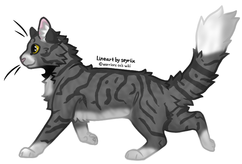 Cedarpaw | Warriors OC's Wiki | Fandom