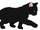 Blackkit (CoA)