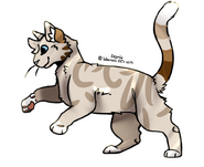 Warrior/StarClan
