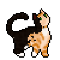 Half Sky | Warriors OC's Wiki | Fandom