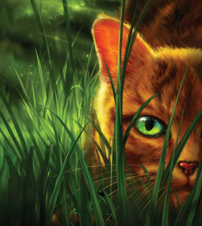 Firestar!!!!  Warrior cats art, Warrior cats books, Warrior cat