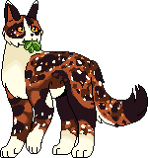 Fläckblad.klan.M.png (7 kbyte)