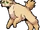 Bärnos