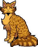 Leopardstjärna.klan.Le.png (11 kbyte)