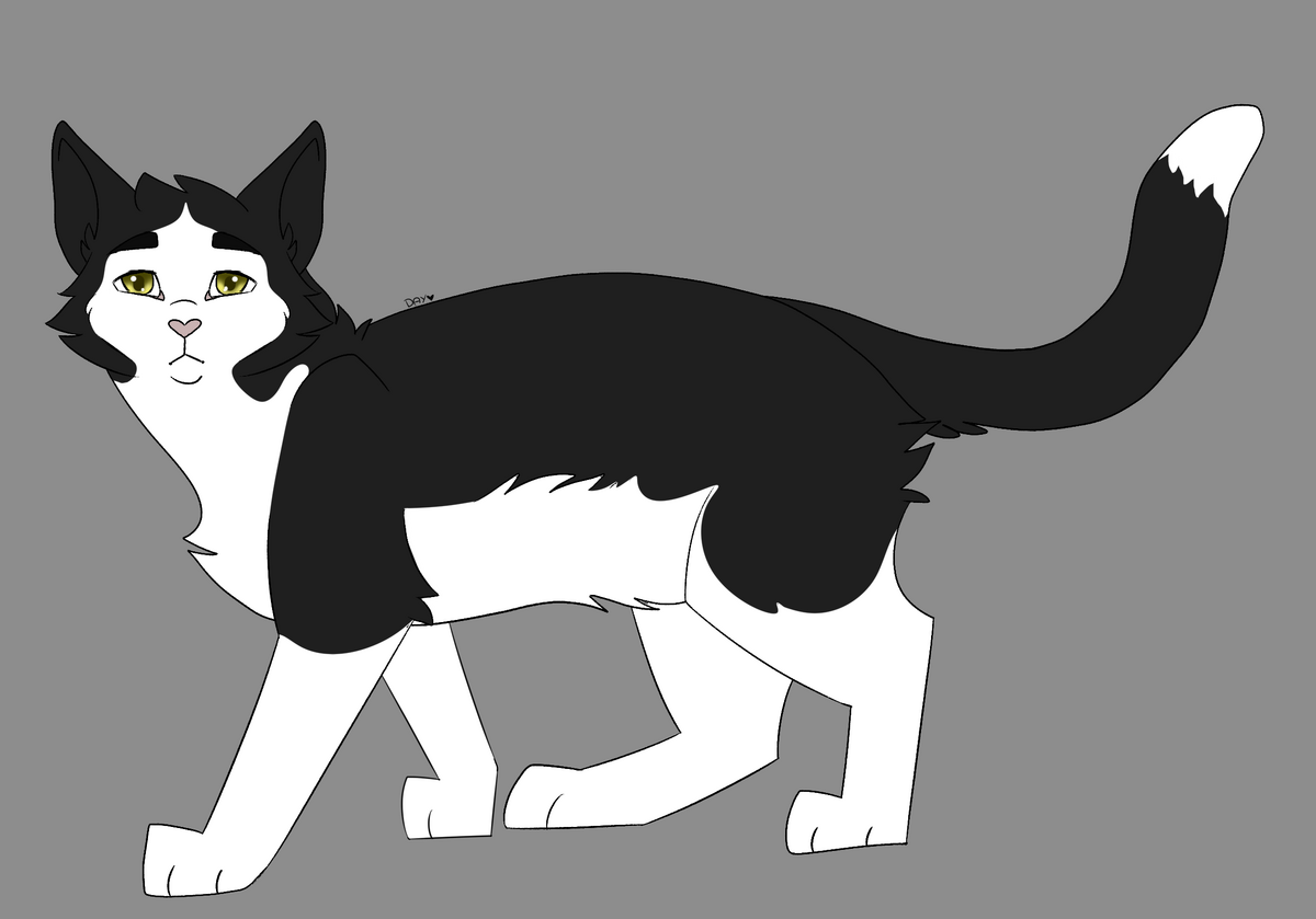 Is Ravenpaw a Resurrection of Ravenwing? by Ashwillow – BlogClan