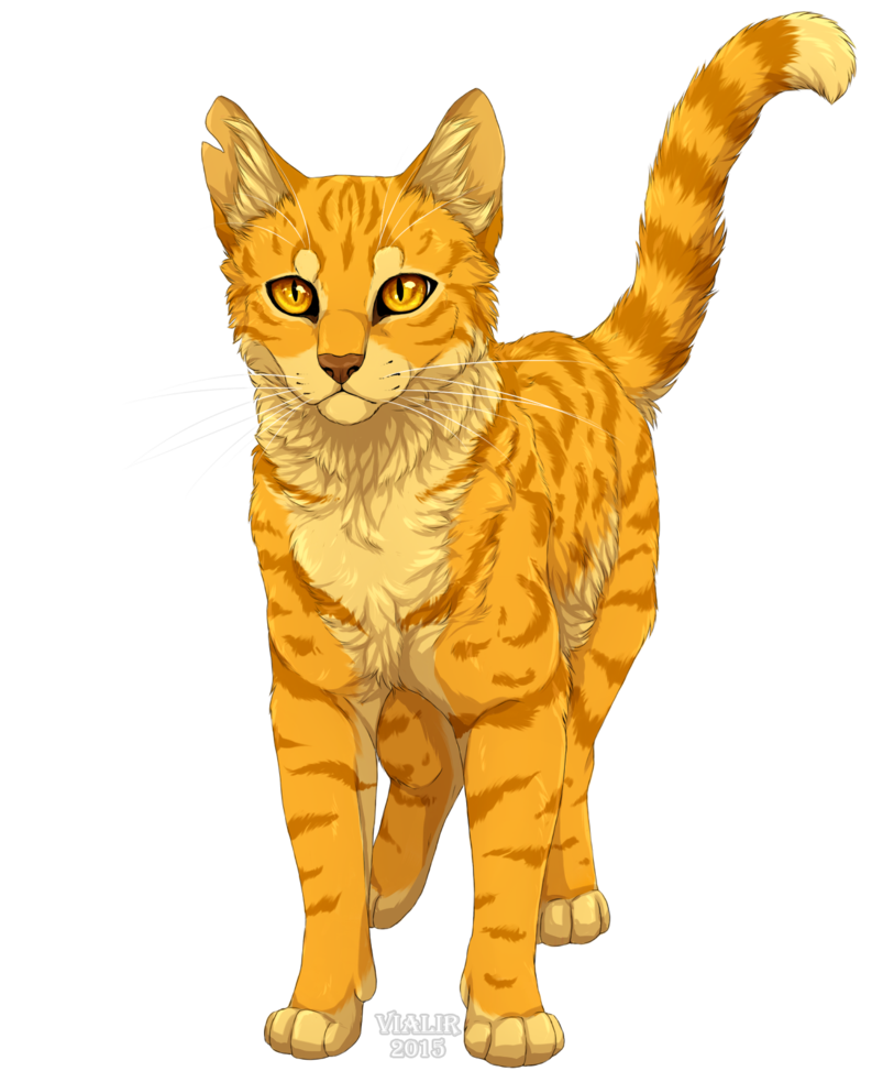 Ashfur by Vialir on deviantART  Warrior cats books, Warrior cats art, Warrior  cats